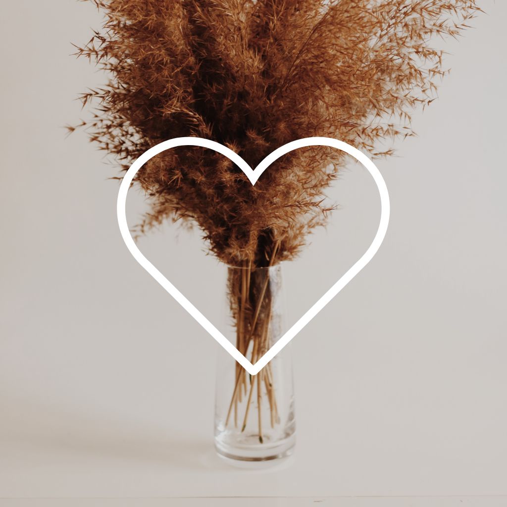 Dried pampas grass in a clear vase with a white heart outline on a light background